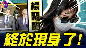 中国经济完了！中共发年度经济数据，一「突破」曝中国进入长期衰退！杨兰兰案突然开庭，真人被迫现身！#真观点 #真飞