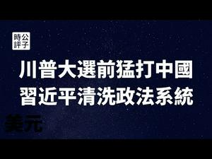 【公子时评】川普主动取消中美谈判，未来每隔三四天就会出一招打击中国！中美贸易战背后的政治逻辑分析...