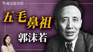 文学巨匠？情感骗子？政治打手？揭开郭沫若的多面人生。｜薇羽看世间 20240930