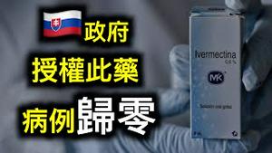 欧盟首个授权使用此药，斯洛伐克🇸🇰疫情发生了什么变化呢？