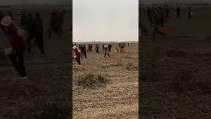 中国各地农民抢粮成风，“外地承包土地者”成了被抢对象。 #哈马斯 #秦刚 #许家印