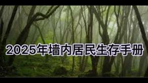 2025年墙内居民生存手册