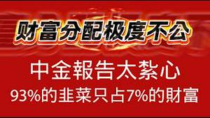 【财富分配极度不公】中金报告太紮心，93%的韭菜只占7%的财富。2026.02.11NO3311