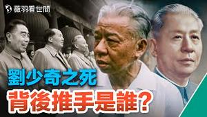 【历史真相】刘少奇为何从毛泽东的亲密战友成了不共戴天的仇人？他凄惨的死亡背后隐藏著一张虚伪的面孔。｜薇羽看世间 第641期