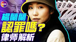 最新信息：杨兰兰恐将面临更多指控！律师解析案件走向，杨兰兰必须认罪？！