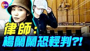 杨兰兰可能会轻判，答案藏在一个细节里！揭秘她的律师团，至少3位律师已现身！