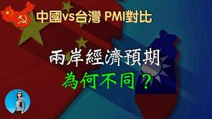 同样是制造业不景气，PMI下行，中国的经济预期为何就是不如台湾？｜米国路边社 [20230701#443]