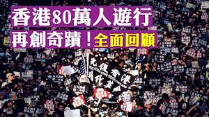 6个月 80万人 5大诉求！12月8日，香港警察与市民对骂，实弹枪执勤，警告催泪烟，少量黑衣人堵路砸店烧法院，民阵游行有惊无险落幕|新闻拍案惊奇 大宇