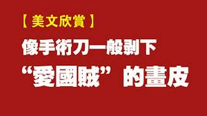 【美文欣赏】像手术刀一般剥下“爱国贼”的画皮。2022.02.05NO1117