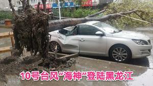 10号台风“海神”对黑龙江影响有多大？大陆水灾