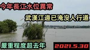 长江武汉段水位以超警戒线，人行道已淹没|今年长江异常，对比任何一年水位都高|巡逻的保安在水上骑车|#2021水灾#2021洪峰#最新洪峰#武汉涨水#长江洪峰#98洪灾
