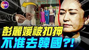 韩媒爆：彭丽媛原本要一同访韩，临时被取消行程！川普爆川习会细节：中方官员的举动让人惊愕！#真飞 #真观点