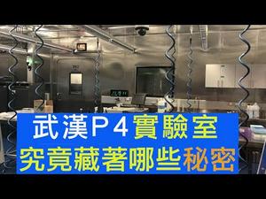 武汉P4实验室不止一间！武汉病毒研究所的石正丽、周鹏合成病毒，这个国家在鼓励科学家成魔（江峰漫谈20200203第111期）