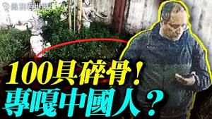 ‼️百具碎骨曝光！器官掏空！第二个柬埔寨？深扒尼日利亚屠宰场和中共关系；美国布朗大学枪击案被流浪汉破案；台湾发生无差别袭击，台湾安全吗？｜薇羽看世间 20251220