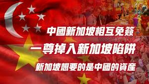 中国新加坡相互免签，一尊掉入新加坡陷阱，新加坡想要的是中国的资产。2024.01.26NO2161