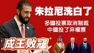 【成王败冠】朱拉尼洗白了，多国投票取消制裁，中国投了弃权票。2025.11.07NO3131#朱拉尼