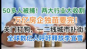 穷疯了！两大行业开始大收割！万亿房企独苗要完！关门打狗，一二线城市扑街！全球数亿人呼吁释放李宜雪！(20241223第1330期)