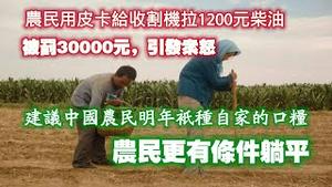 农民用皮卡给收割机拉1200元柴油，被罚30000元，引发众怒。建议中国农民明年祇种自家的口粮，罢农。农民更有条件躺平。2024.12.14NO2585