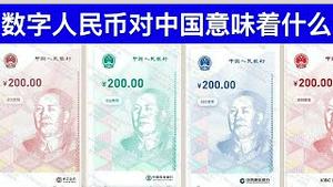 新闻茶座: 数字人民币对中国意味着什么?/王剑每日观察/20210228