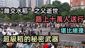 “超级杂交水稻”之父逝世路上十万人送行，堪比当年总理|超级稻推广面积缩小到8.5%|袁隆平仙游，送行场面震撼|粮食秘密武器|#袁隆平#共和国勋章#粮食#水稻#CC subtitles added