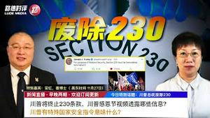 11/27/2020 路德时评（路安墨谈）：为什么说川普总统发推“为了国家安全，必须立即终止230条款”，意味着230条款即将立即被终止；总统国家安全指令具有多大能量？川普感恩节视频透露出更多信息；