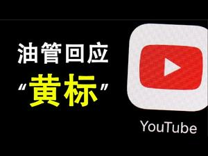 YouTube回应“黄标”事件；一次造假不到位的视察；飞往北京上海的多部航班被停飞（政论天下第126集 20200305）天亮时分