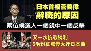 日本首相菅义伟辞职的原因。两位候选人一个亲中一个反华。又一次抗战胜利，5毛粉红骂停大连日本街。2021.09.05NO912#日本首相#菅义伟