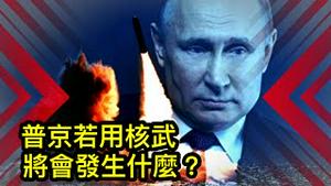 如果普京对乌克兰使用核武，世界将会怎样应对？ （留言点评，2022/4/26)