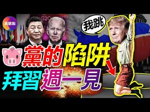 🐷民主党给川普和共和党挖了一个超级陷阱! 红色浪潮未到, 因为一个最大的“违背常理”现象! G20拜习会面, 拜登谈台湾, 北京谈芯片?!【20221111】#真观点