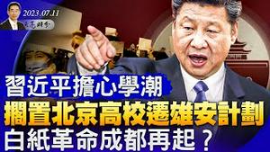 习近平担心学潮，搁置北京高校迁雄安计划，白纸革命，成都再起？公务员降薪，房地产躺平；乌克兰加入北约时间表未定（政论天下第1055集 20230711）天亮时分