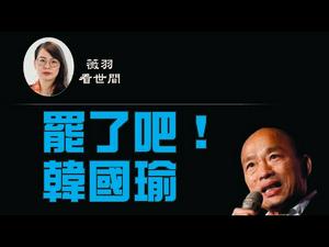 【第48期】台湾高雄市长韩国瑜被罢免成功，是什么在创造历史和奇迹？在中国大陆，地摊经济正在消失，失业人数增加 | 薇羽看世间 20200606（字幕）