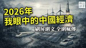 2026年，我眼中的中国经济！超火网文，全网疯传！原来只是「东升西降」的新品种...