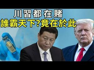 习近平川普下重注究竟在赌什么？中共偷疫苗反咬一口；川普动真格视同战争。众议院3万亿背后的水很深（江峰漫谈20200518第174期）