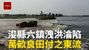 河南浚县7镇沦陷6镇，万亩良田被淹没，农民流下心酸的眼泪
