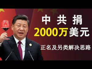 中共竟然再给这个组织捐了2000万美元！为了“必也正名乎”吗?叫什么名字更加恰当?兼谈另类解决思路 (政论天下第129集 20200308)天亮时分