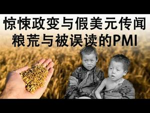 惊悚的政变传闻与美元伪钞案,被误读的3月PMI与实实在在的粮荒(政论天下第145集 20200403)天亮时分