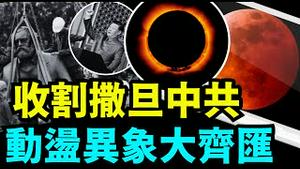 「中共国75岁生日后 ⋯ 毕格斯预言随即在日环食 血月 习近平劫数中爆发？」《今日点击》（09 22 24）#习近平 #毕格斯