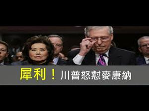 美国政坛无伟人，你犯错我才能得分！川普狠怼麦康纳，犀利贬损毫不留情！（一平快评2021/2/17)