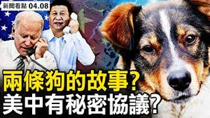 两条狗的故事；中共军演报复台湾，规模时间均缩小的背后；美中已达成默契？【新闻看点 李沐阳4.8】