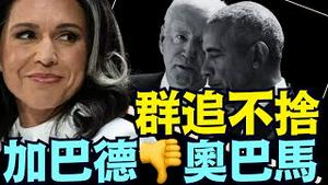 即刻回应奥巴马声明 ⋯ 加巴德：明天释放千页电子文件 奥巴马晕头了！（07 22 25）#川普 #特朗普 #trump #elonmusk  #tarif #china