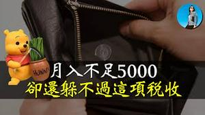 最新数据，中国超13亿人月薪不足5000？中国人躲的过个税，却躲不过社保税！｜小翠时政财经 [20241017#608]