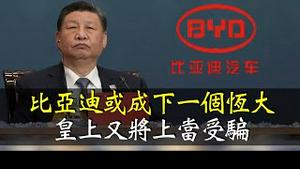 习近平继续做梦“东升西降”，比亚迪谋划诈骗“中国国运”，它是下一个恒大！｜小翠时政财经 [20250108#650]