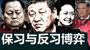 保习派和反习派博弈，空军将领纷纷出场，山东帮岌岌可危，彭丽媛还能当上政治局候补委员吗？《建民论推墙2895》