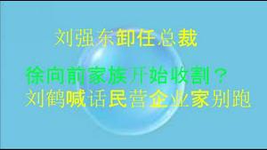 财经冷眼：刘强东卸任总裁，徐向前家族开始收割！刘鹤喊话民营企业家别跑，口炮稳军心！（20210907第617期）