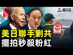 美日联合声明挺台抗共; 香港九位民主人士被判刑｜【严真点评】&【外交部大实话】
