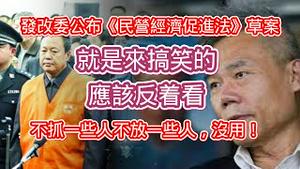 发改委公布《民营经济促进法》草案，就是来搞笑的，应该反着看。不抓一些人不放一些人，没用。2024.10.12NO2521