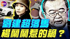 北戴河高敏时刻，外长接班人刘建超被查，全怪杨兰兰？！杨兰兰身份内幕，牵出一条庞大的权贵资金外逃网络！