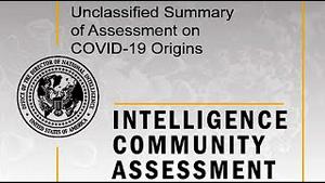 《石涛聚焦》美国情报局发布17页解密评估报告：不能标题（29/10）