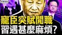 宠臣二线閒职  习权威受冲击？行程藏诡异，习麻烦不小？30㎡房产拍卖，许家印戏外有戏？【新闻看点 李沐阳9.17】