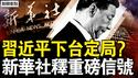 新华社重磅信号，习近平下野定居？电诈园区场景骇人  一个 「猪仔」三四十万；王星被释放真相，崩牙驹一个电话；犯罪分子公开挂旗，为何没人管他们？【新闻看点 李沐阳1.15】